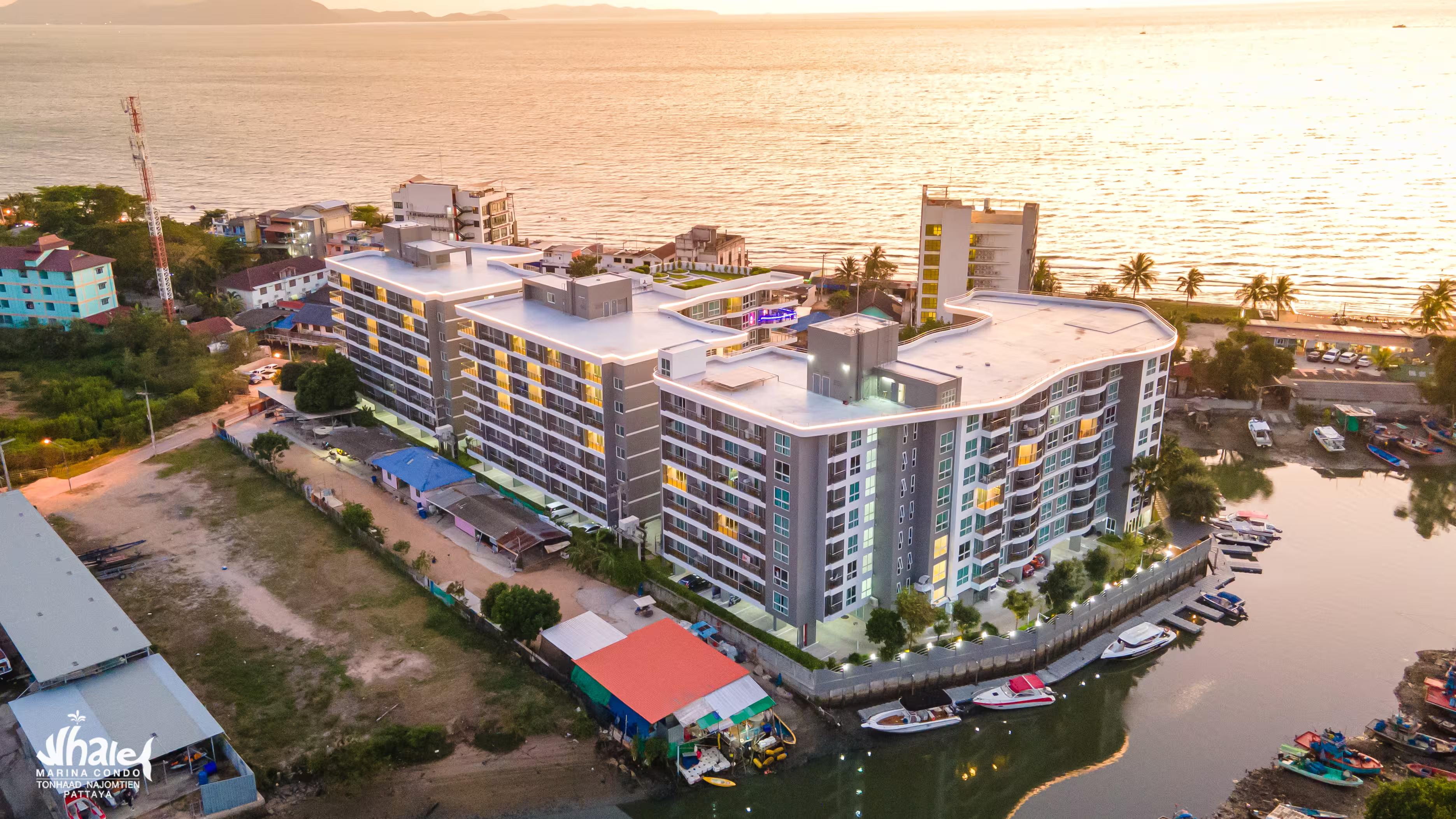 Whale Marina contact now